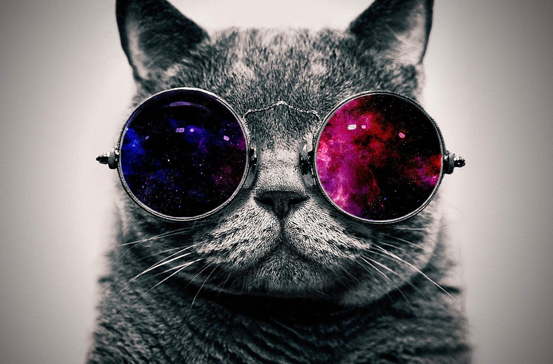 A cat wearing galaxy-reflecting round glasses